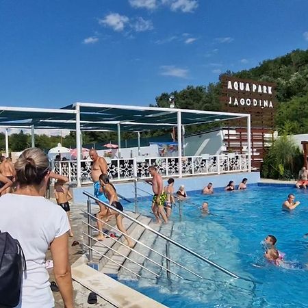 Royalwings Apartman Jagodina Exteriör bild